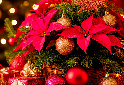 Радуйте подарками близких и экономьте! 