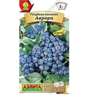 Голубика высокая Аврора семена
