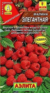 Малина Элегантная семена