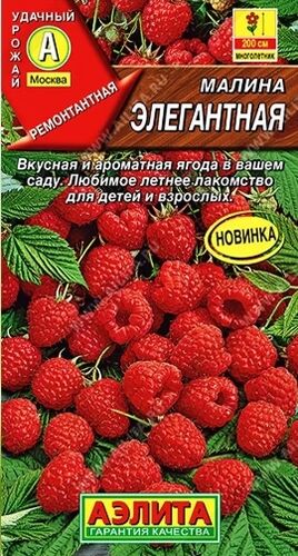 Малина Элегантная семена