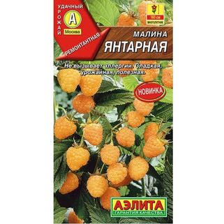 Малина Янтарная семена