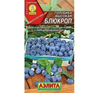 Голубика высокая Блюкроп семена