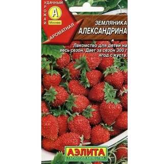 Клубника семена, комплект из 6-ти сортов СОБЛАЗН