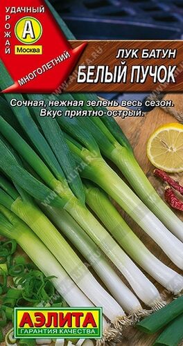 Лук батун Белый пучок семена