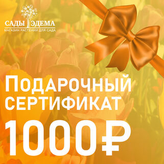 Подарочный сертификат на 1000 руб.