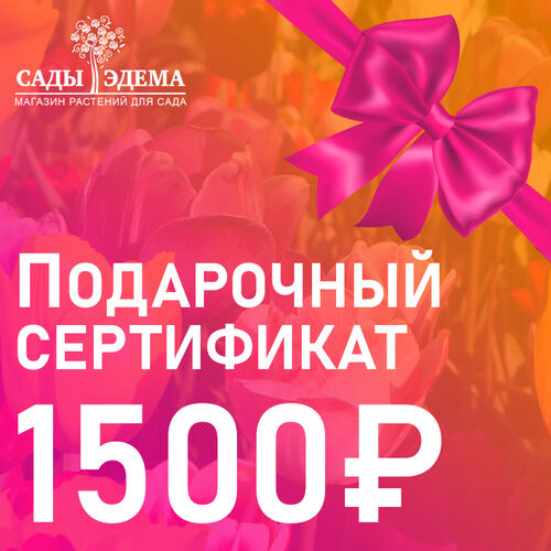 Подарочный сертификат на 1500 руб.