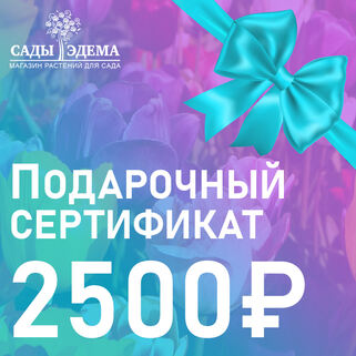 Подарочный сертификат на 2500 руб.