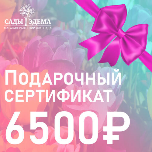 Подарочный сертификат на 6500 руб.