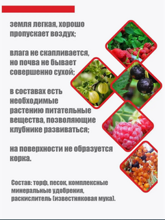 Грунт для клубники земляники 5л