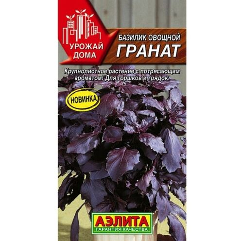 Базилик овощной Гранат семена